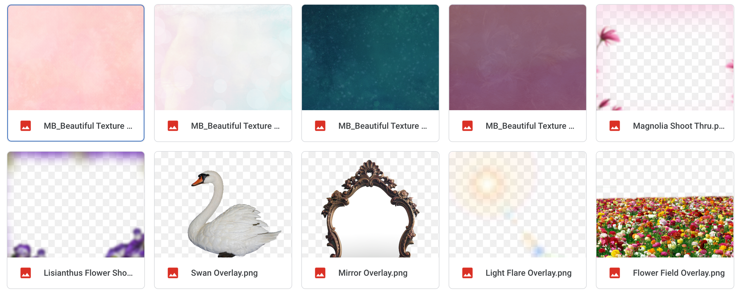 The Beautiful Bundle - Meg Bitton Productions