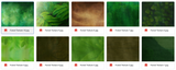 Magical Bundle of Textures - Meg Bitton Productions