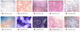 Magical Bundle of Textures - Meg Bitton Productions