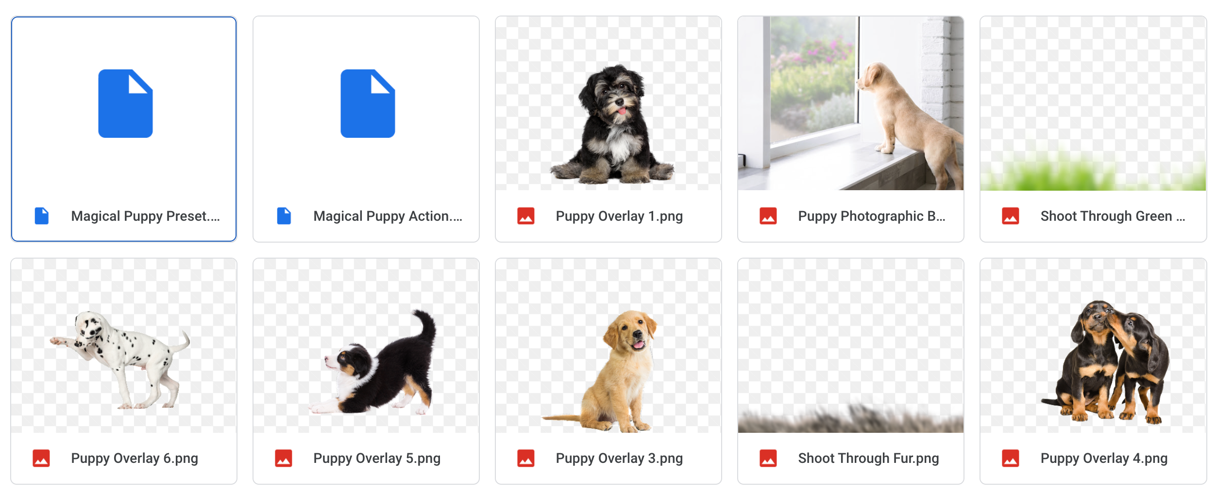 The Puppy Bundle - Meg Bitton Productions