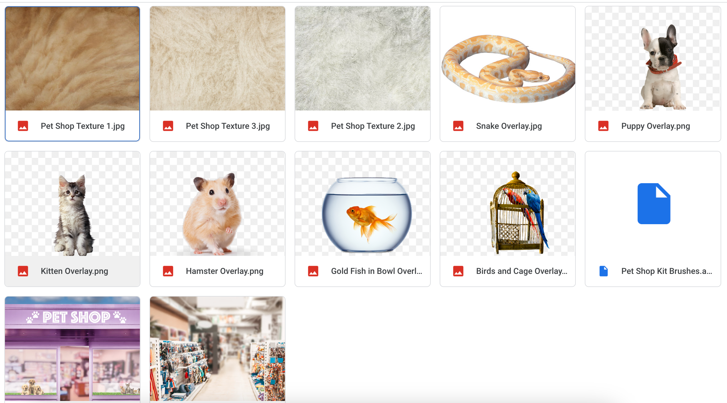 The Pet Shop Kit - Meg Bitton Productions