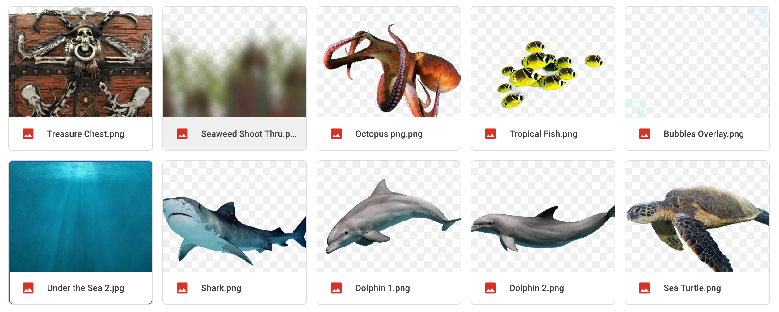 The Under the Sea Kit - Meg Bitton Productions