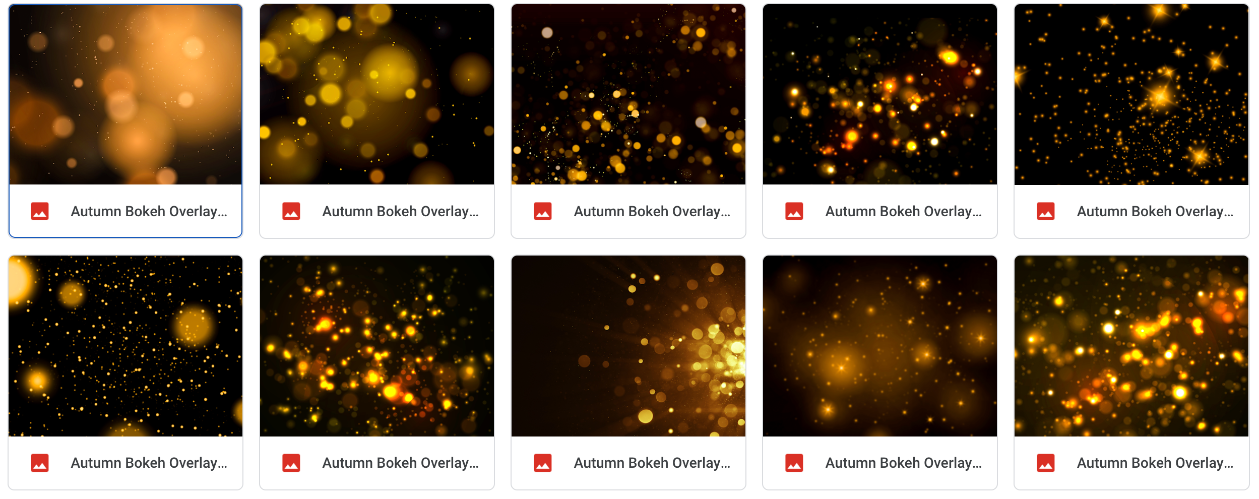Magical Autumn Bokeh - Meg Bitton Productions