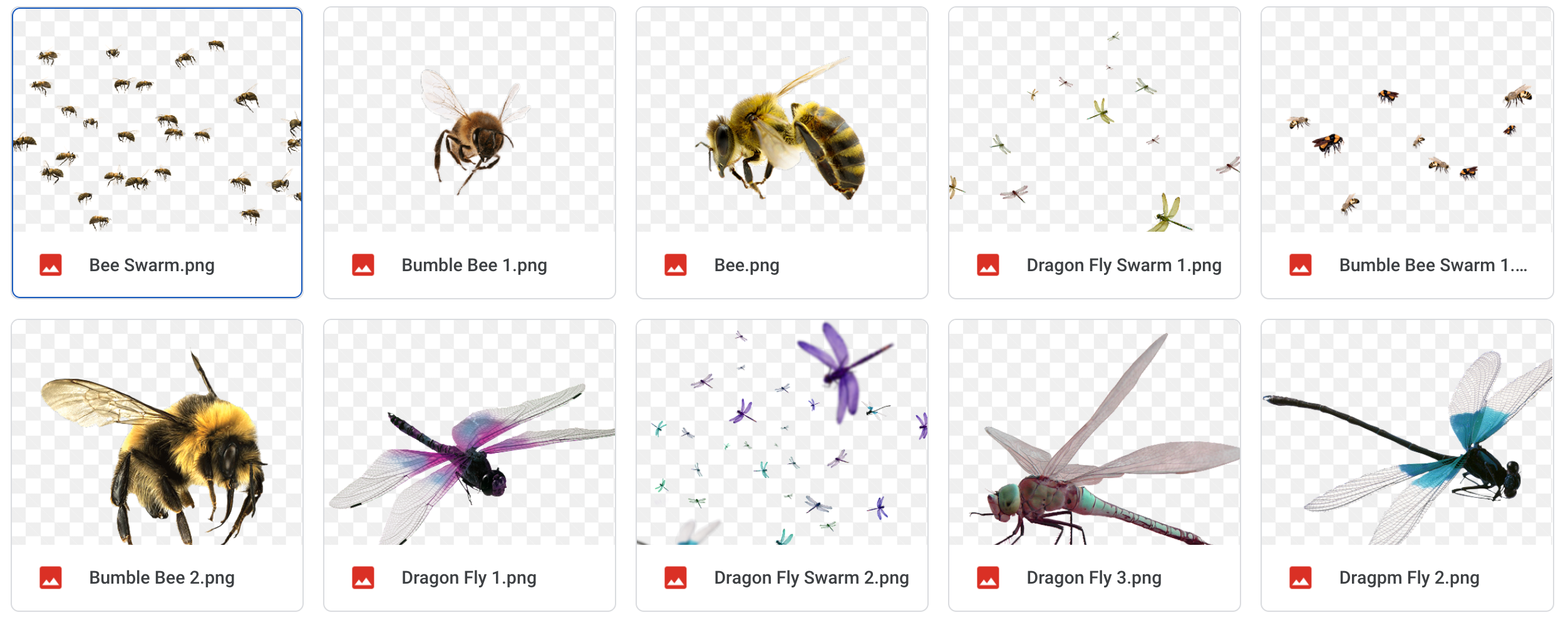 Magical Dragonflies and Bees - Meg Bitton Productions