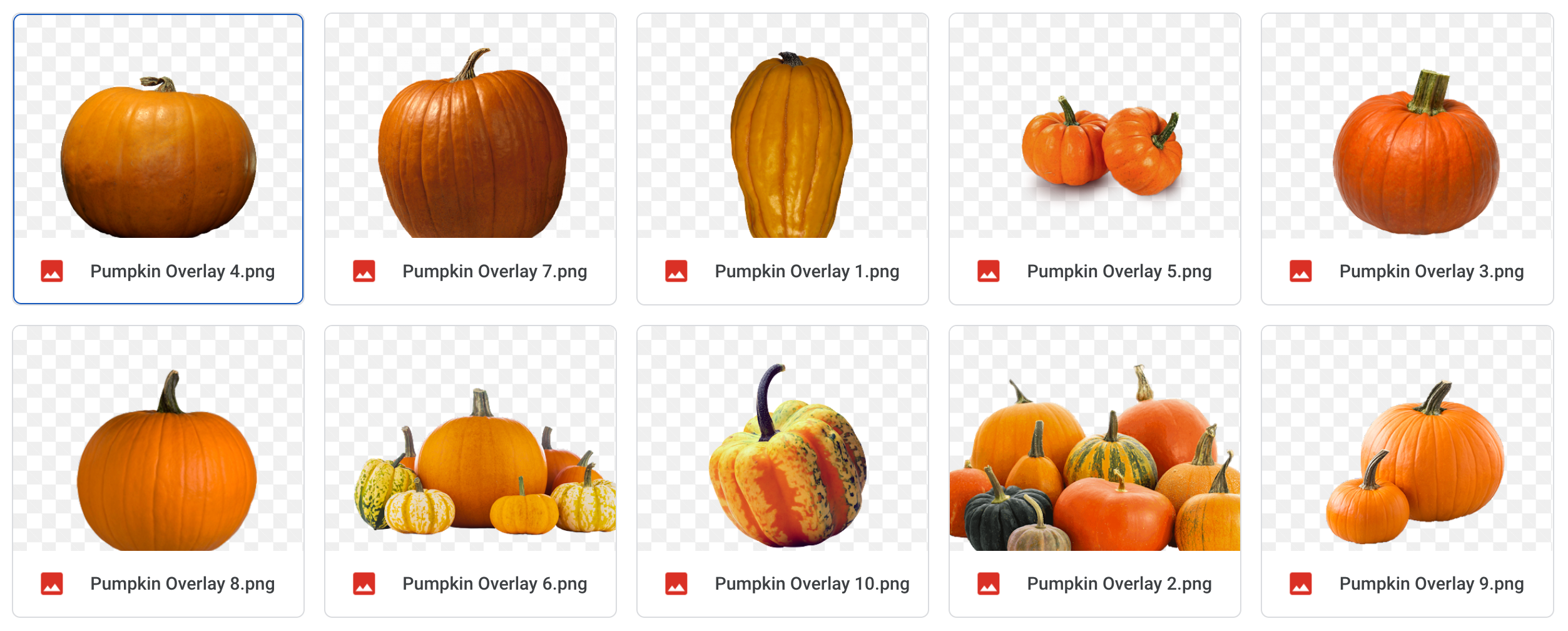 Magical Pumpkin Overlays - Meg Bitton Productions