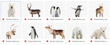 Magical Snowy Animals - Meg Bitton Productions