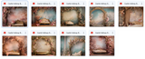 The Hurry Before I Change My Mind Digital Background Bundle - Meg Bitton Productions