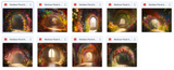 The Hurry Before I Change My Mind Digital Background Bundle - Meg Bitton Productions