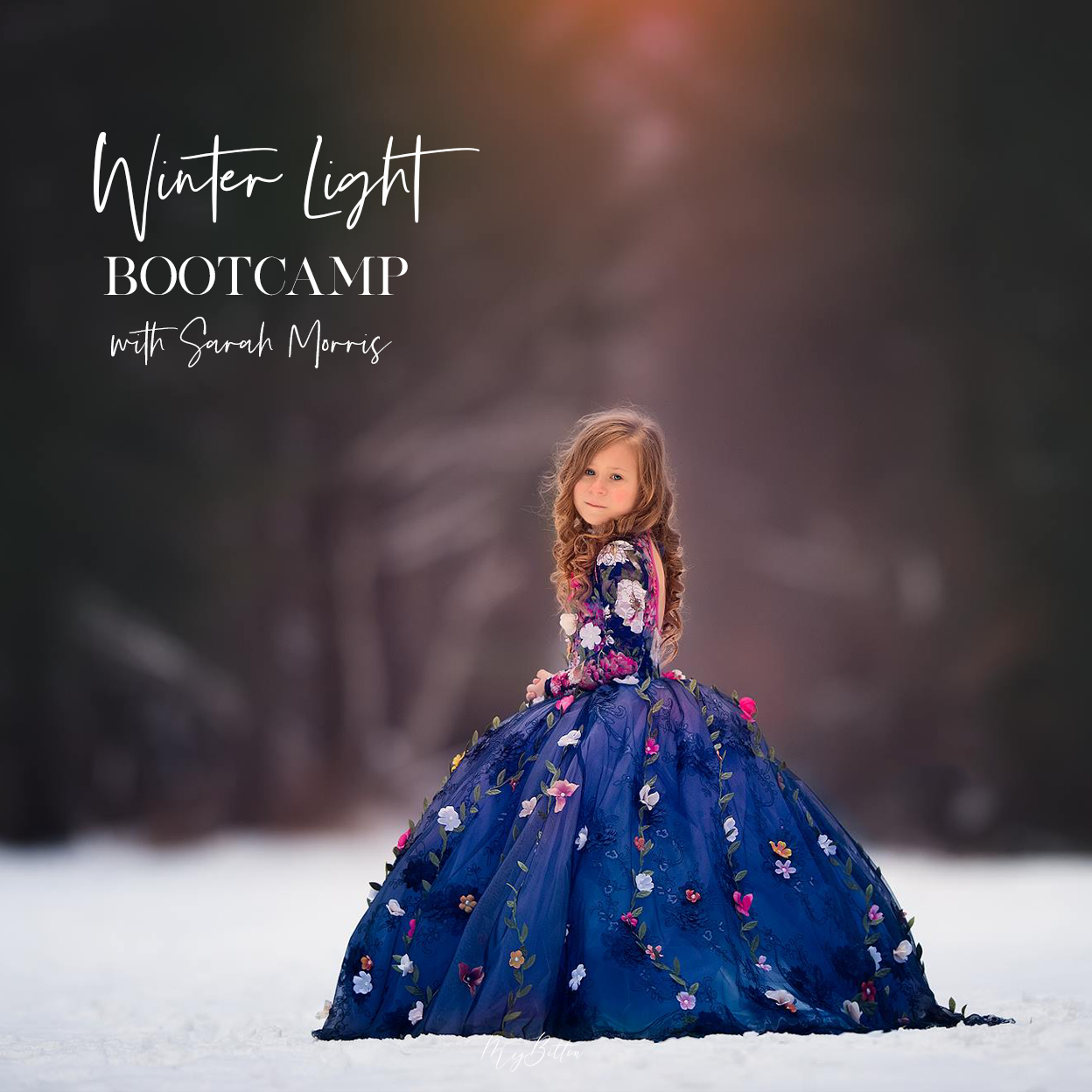 Winter Light Bootcamp - December 2019 - Meg Bitton Productions