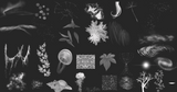 Magical Bundle of Brushes - Meg Bitton Productions