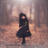 Magical Forest Frost Action - Meg Bitton Productions