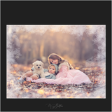 Magical Frost Overlays - Meg Bitton Productions