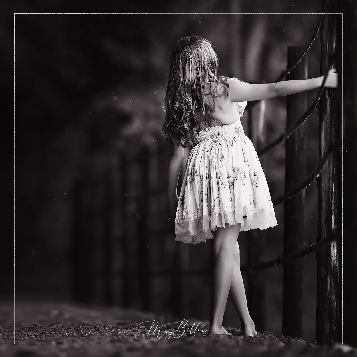 Magical Late Summer Monochrome Action - Meg Bitton Productions