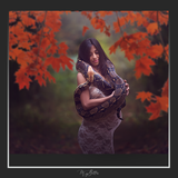 Magical Shoot Through - Autumn Maple - Meg Bitton Productions