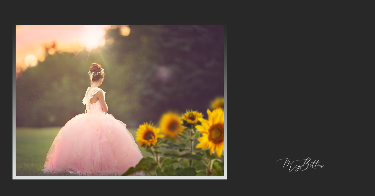 Magical Shoot Through - Sunny Sunflowers - Meg Bitton Productions
