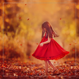 Magical Pumpkin Pie Action - Meg Bitton Productions