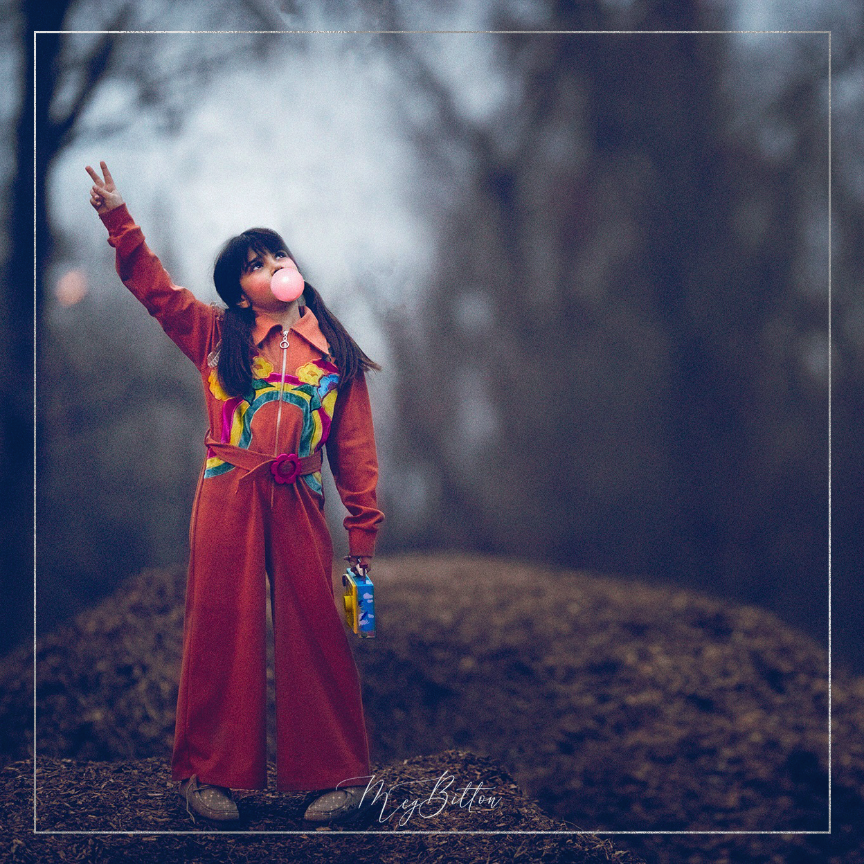 Magical Winter Evening Action - Meg Bitton Productions