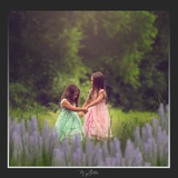 Magical Shoot Through - Purple Sprigs - Meg Bitton Productions