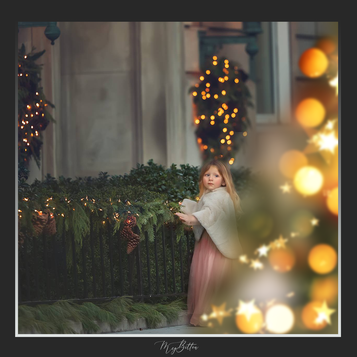 Magical Shoot Throughs - Christmas Tree - Meg Bitton Productions