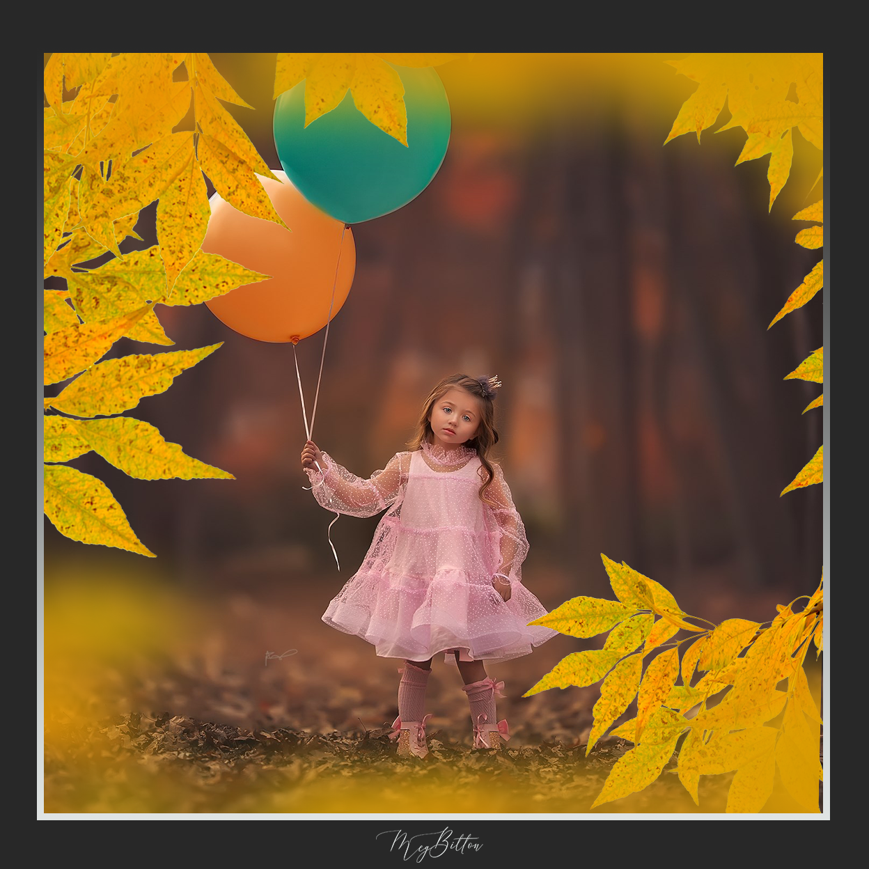 Magical Shoot Throughs - Fall Branches - Meg Bitton Productions