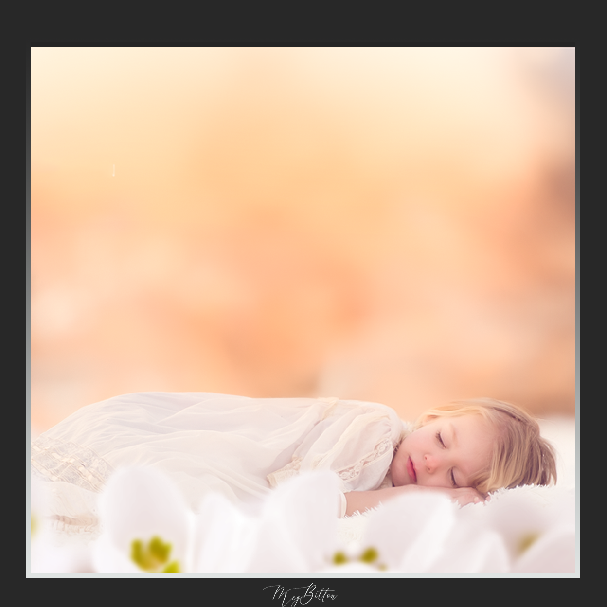 Magical Shoot Through - Snowdrop Flowers - Meg Bitton Productions