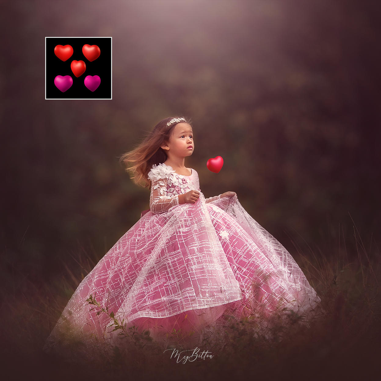 Mixer Brush: 3D Hearts - Meg Bitton Productions