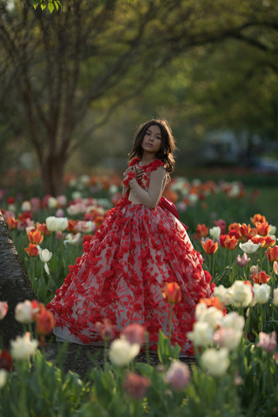 The Tulip Greenhouse - Meg Bitton Productions