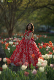 The Tulip Greenhouse - Meg Bitton Productions