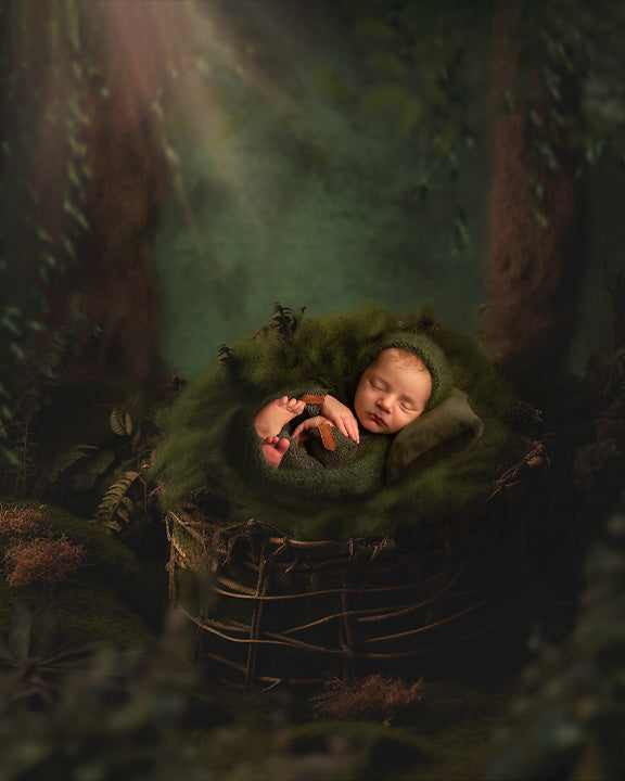 Forest Slumber