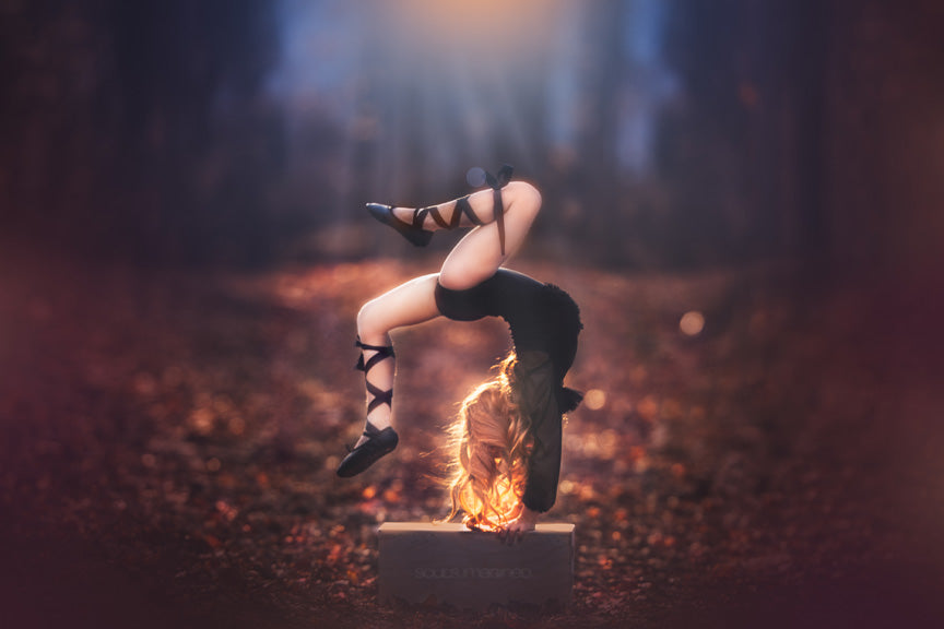 Fall Splendor - Meg Bitton Productions