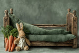 Newborn Kit: Peter Rabbit