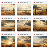 Ultimate Golden Wheat Background Bundle