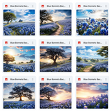 Ultimate Blue Bonnets Background Bundle