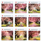Ultimate Apple Blossoms Background Bundle