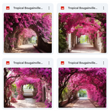 Ultimate Tropical Bougainvillea Paths Background Bundle
