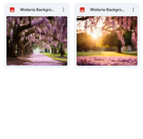 Ultimate Wisteria Background Bundle