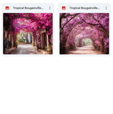 Ultimate Tropical Bougainvillea Paths Background Bundle