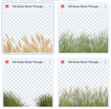 Tall Grass Shoot Through Bundle