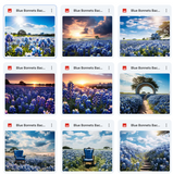 Ultimate Blue Bonnets Background Bundle