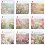 Ultimate Ranunculus Background Bundle