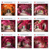 Ultimate Tropical Bougainvillea Paths Background Bundle