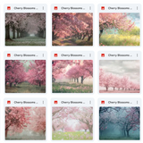 Ultimate Cherry Blossoms Background Bundle