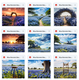 Ultimate Blue Bonnets Background Bundle