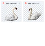 Magical Swan Overlays