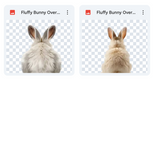 Magical Fluffy Bunny Overlays