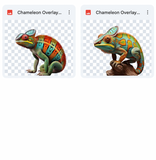 Magical Chameleon Overlays