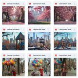 Ultimate Central Park Background Bundle