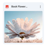Book Flower Background Bundle