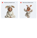 Magical Silly Bunny Model Overlays