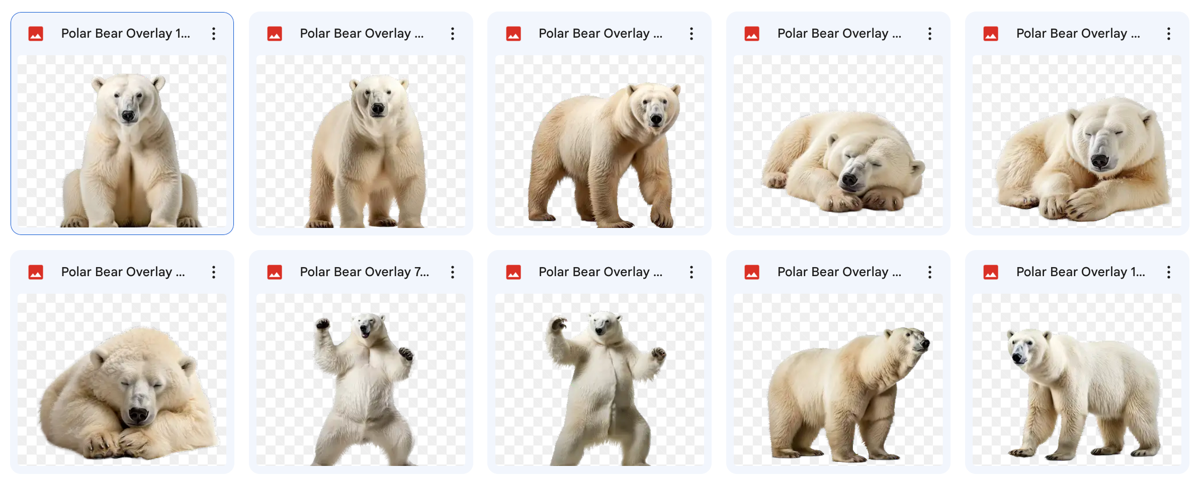 Magical Polar Bear Overlays - Meg Bitton Productions